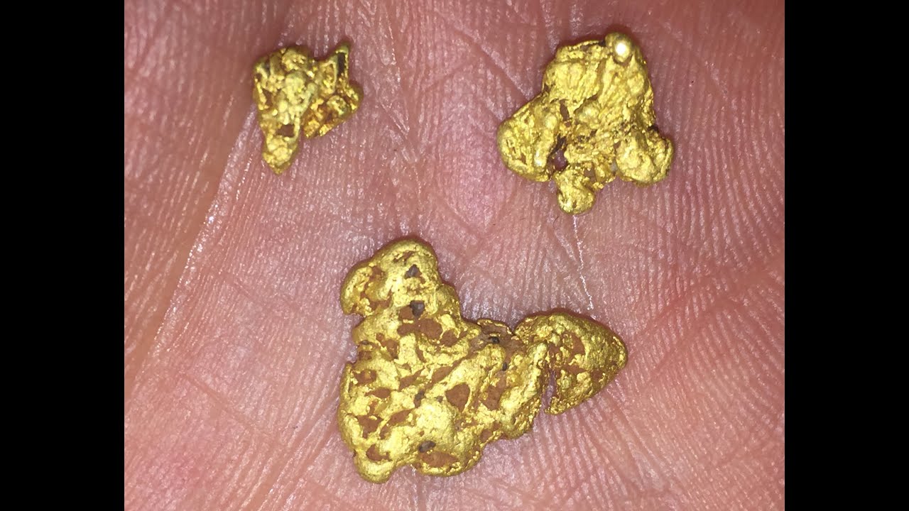 Metal Detecting for Gold Nuggets in Victoria. Minelab GPZ 7000 YouTube