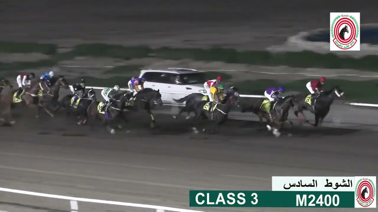 الجواد - البحر - اسطبل الفراج