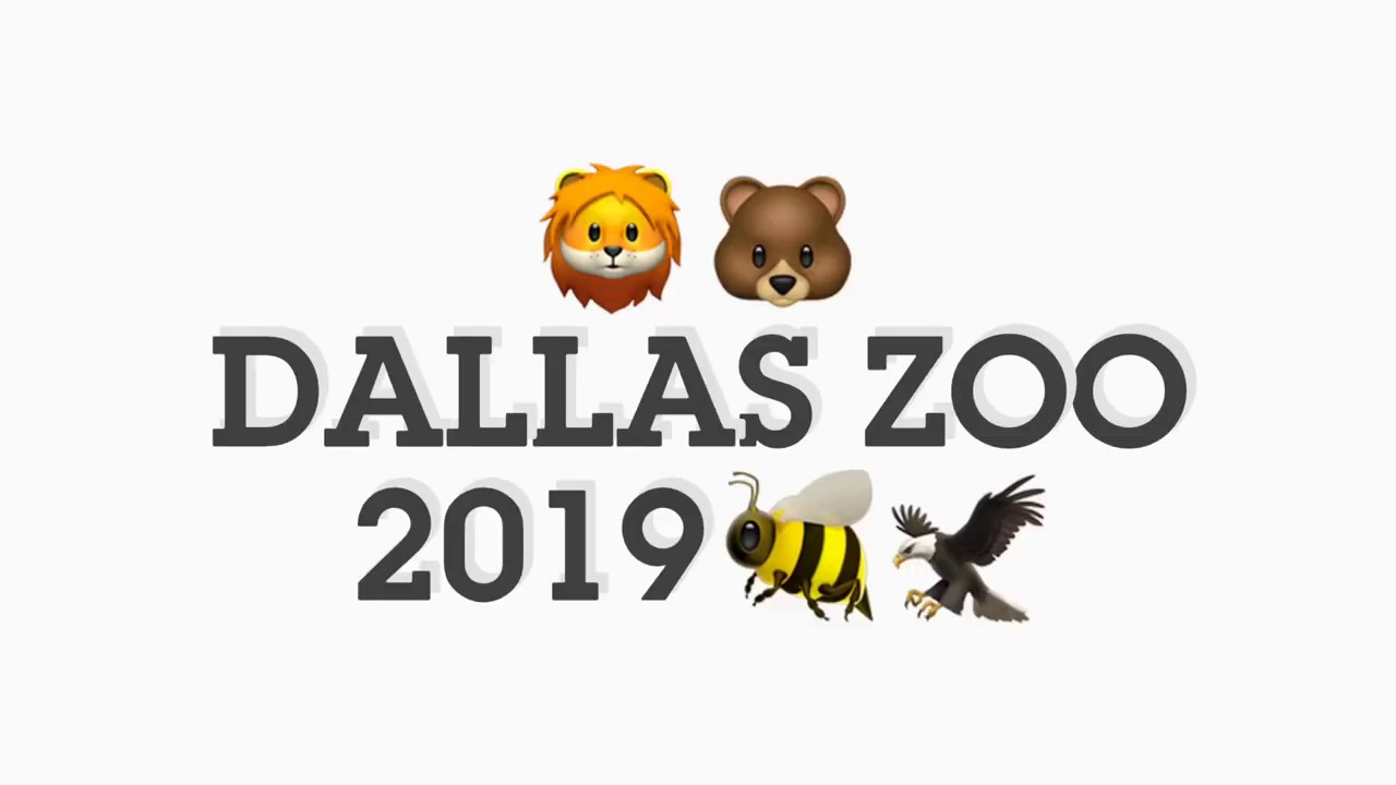 Dallas Zoo 2019 YouTube