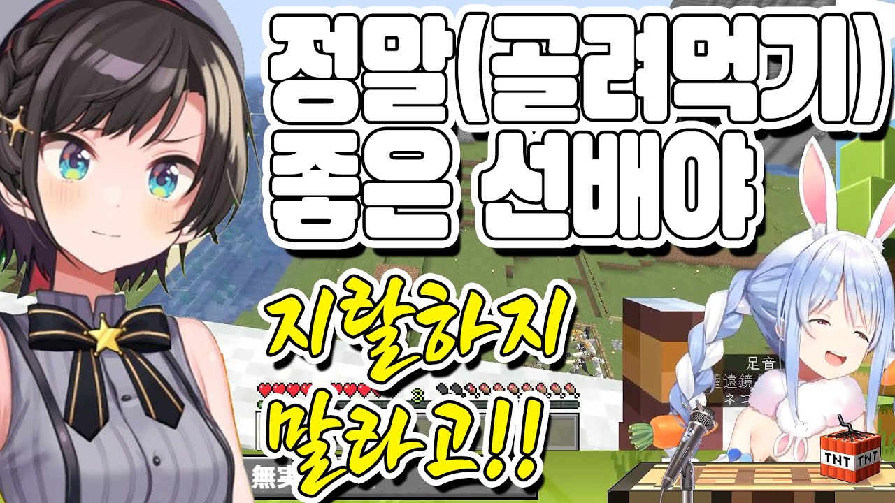 의외로 없길래 만든 지난주 페코스바 전쟁[홀로 라이브/오오조라 스바루/우사다 페코라]