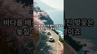 우리나라 벚꽃 드라이브 명소 top 10