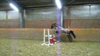MVI_2767.AVI