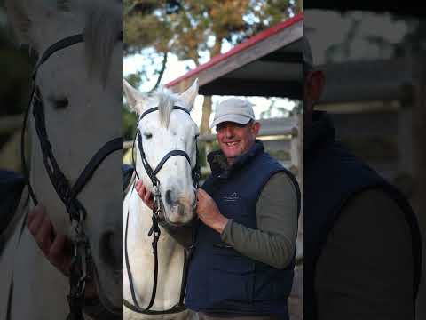 Passeio a cavalo na praia na Comporta