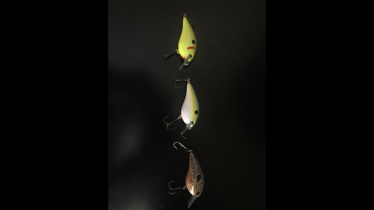 Post Spawn Baits in the South (BASIC NECESSITIES FOR INTERMEDIATE BASS FISHING)