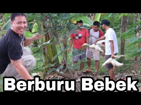 BERBURU BEBEK DI KEBON LANGSUNG DI MASAK