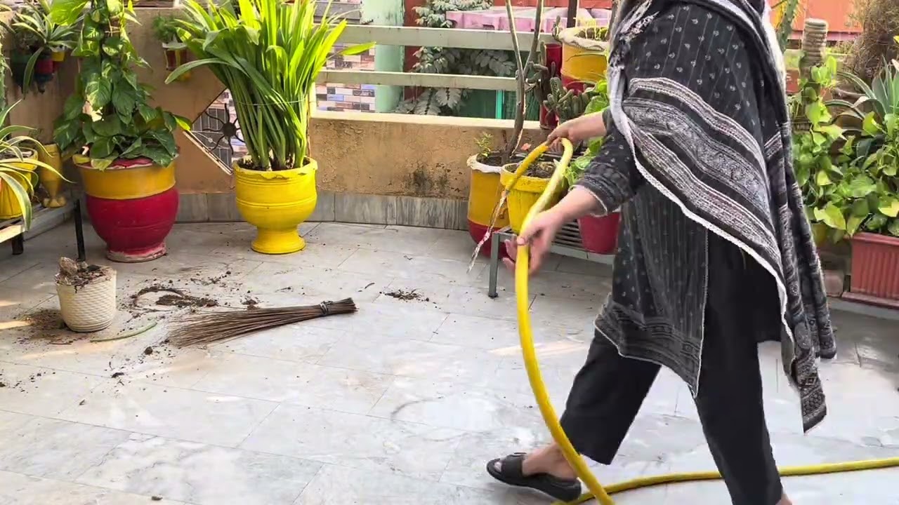 Aj rooftop clean kiya aur plant change kiya🌷