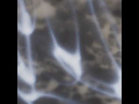 Pmxper — pmxper (Buttechno + perila) - Lavender Milk