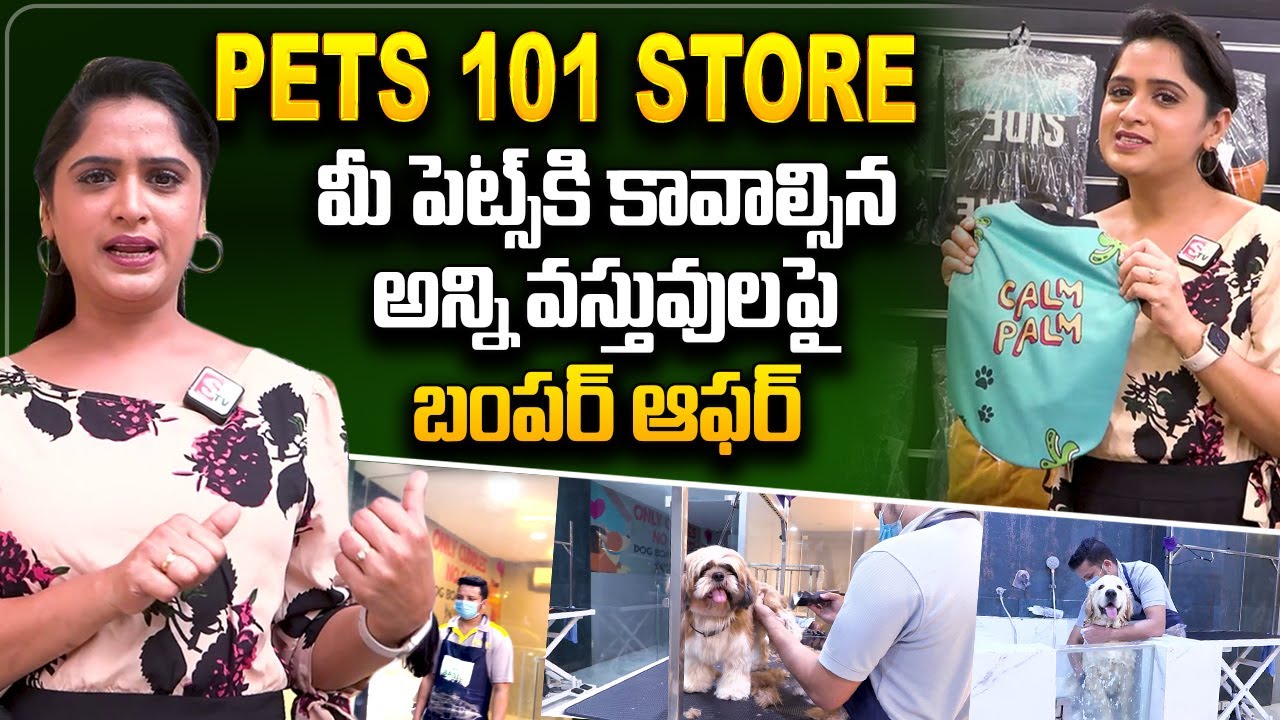 Special Discounts on All Breeds of Pets Hyderabad Biggest Pets Sale Pets 1O1 Store YouTube