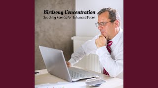 Feathered Focus Flows Freely