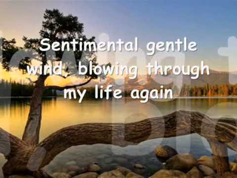 Sentimental Lady by Fleetwood Mac