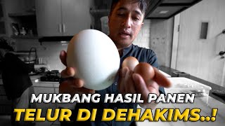Download Lagu MUKBANG TELUR-TELUR YANG ADA DI DEHAKIMS..! MP3 Download Lagu MUKBANG TELUR-TELUR YANG ADA DI DEHAKIMS..! MP3