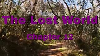 Download Lagu Sir Arthur Conan Doyle | The Lost World | Chapter 12: It Was Dreadful in the Forest Download Lagu Sir Arthur Conan Doyle | The Lost World | Chapter 12: It Was Dreadful in the Forest