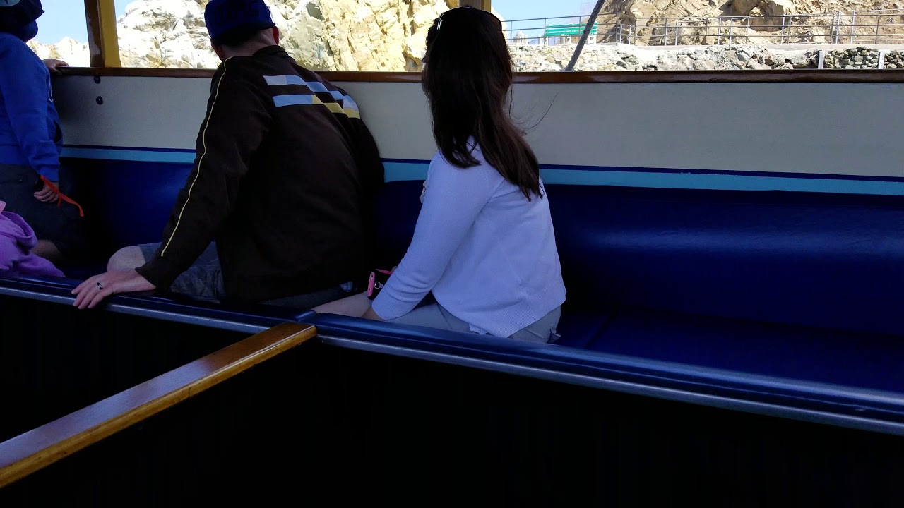 Catalina Island Glass Bottom Boat YouTube