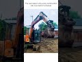Happy Puppy Plays With Construction Workers