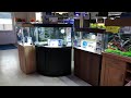 We are now a Juwel aquarium dealer!