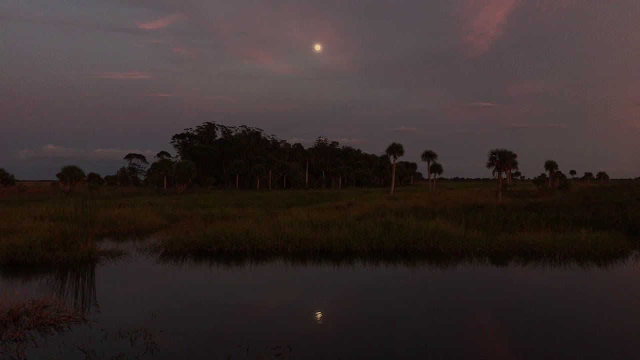 TEAM UFO INVESTIGATION INTO FROG-SWAMP GHOST SIGHTING!!!!  EXTREME PARANORMAL PHENOMENON!!!!