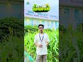 🤔Future Superfood #agriculture #millets #sorghum #royalinstituteofcompetition #royalinstituteudaipur
