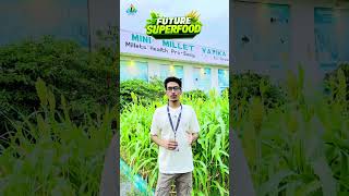 🤔Future Superfood #agriculture #millets #sorghum #royalinstituteofcompetition #royalinstituteudaipur