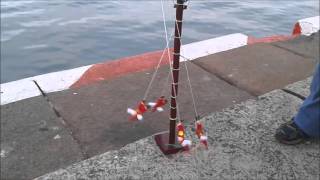 LOS VOLADORES DE PAPANTLA I