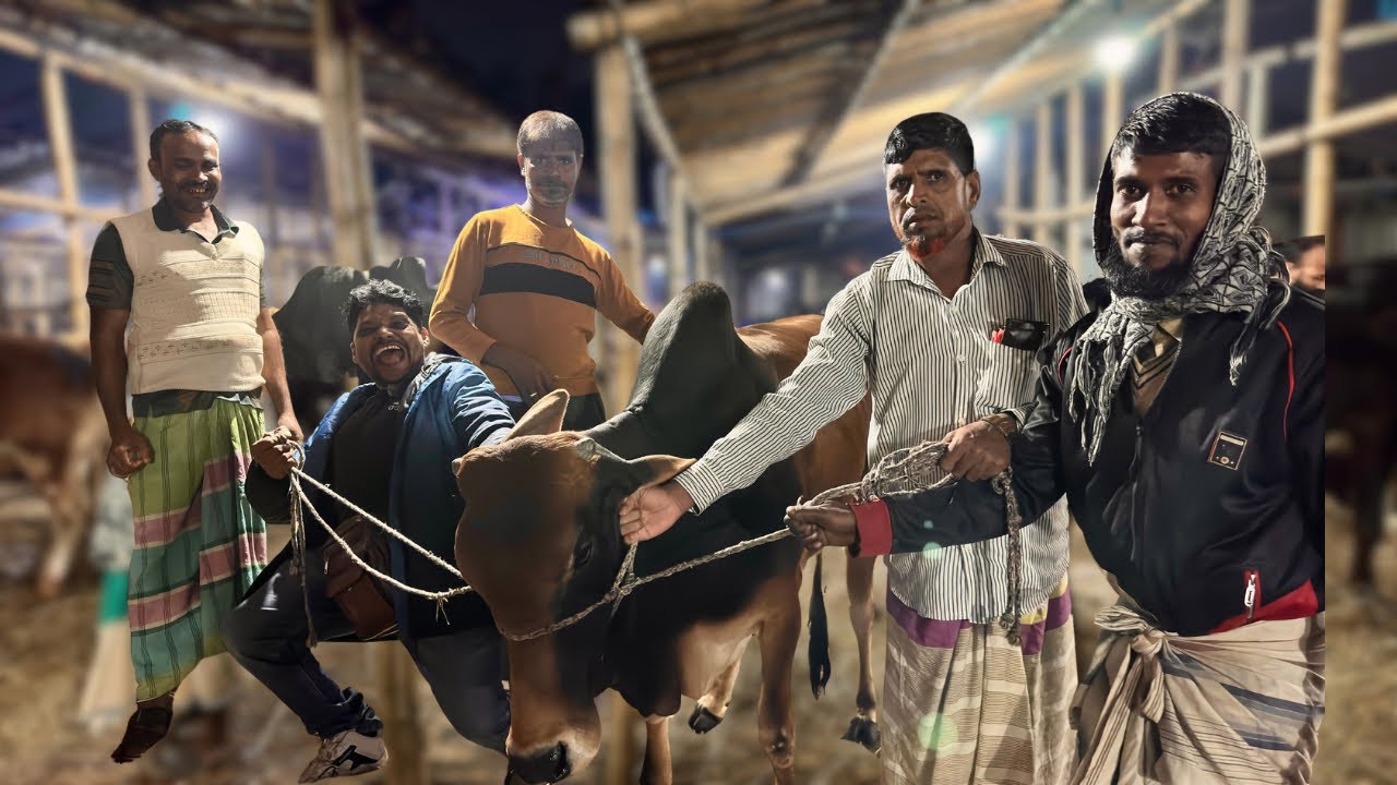 আকরাম ভাইয়ের গাবতলী কাণ্ড! একদিনে ৮ গরু কেনা– দারুণ দরদাম ড্রামা | Gabtoli Cow Buying Drama Update