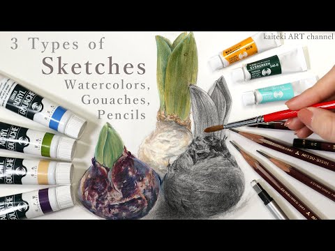 ３種類のスケッチで球根を描いてみた👩‍🎨鉛筆/ガッシュ/透明水彩 【ENG Sub】3 Types of Sketches,  Pencils, Gouaches, Watercolors,
