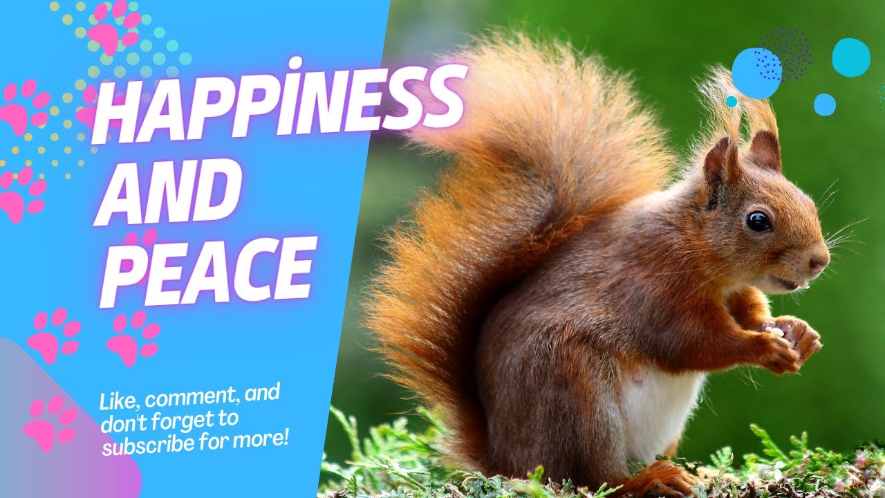 Amazing Facts About Squirrels You Didn't Know!