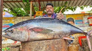 Kasimedu Speed Selvam Huge 36 Kg Tuna Fish Cutting Video 4K Video Km Fish Cutting
