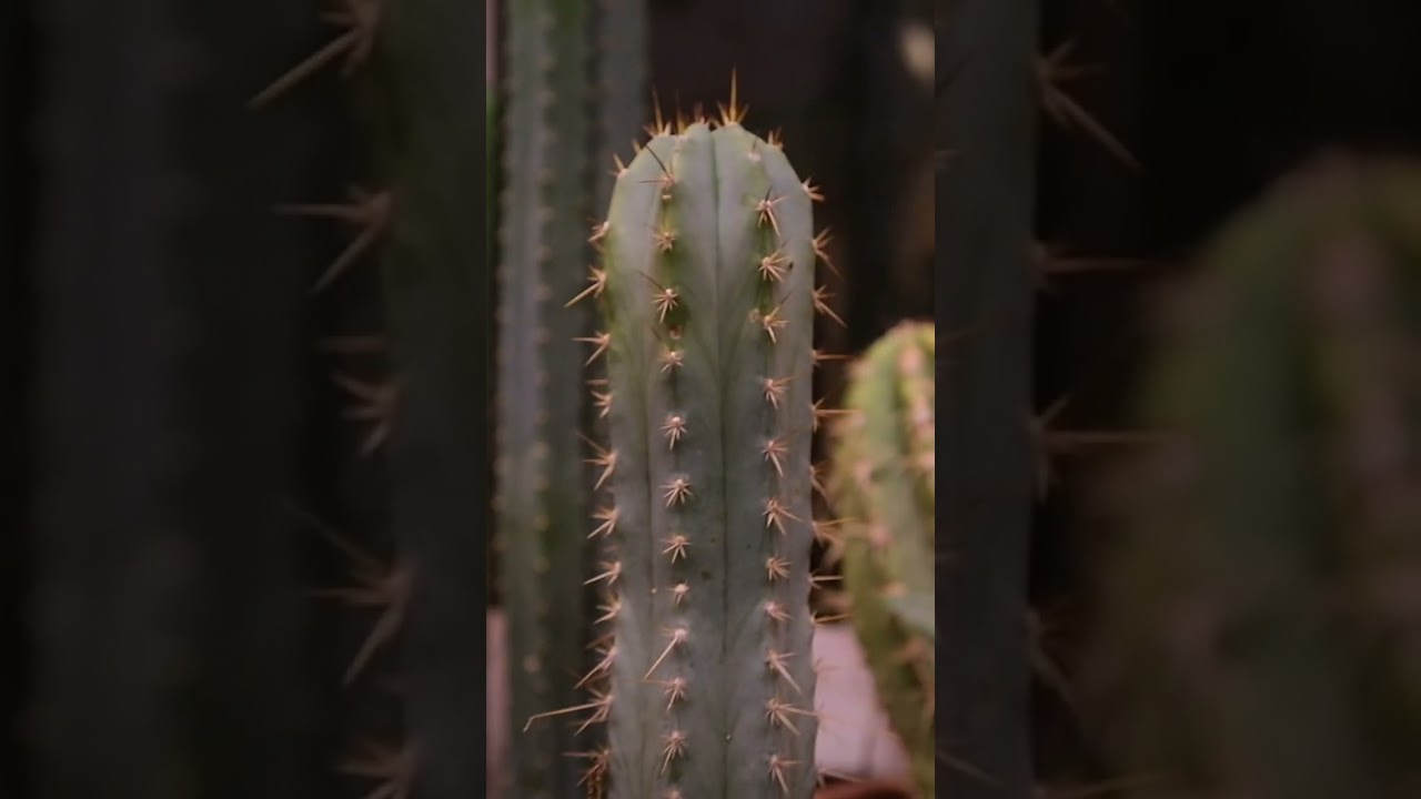 Watch Breakthrough (ft Sofasound) on YouTube Watch Breakthrough (ft Sofasound) on YouTube