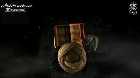 3 ساعات من الراحة  جميع تلاوات القارئ حمزة بوديب   قرآن بصوت حمزة بوديب   Hamza Boudib Quran