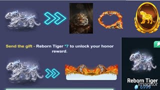 yalla ludo new activity reborn tiger screenshot 5