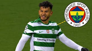 Luis Javier Suarez - Fenerbahce Transfer Target 2026 ᴴᴰ