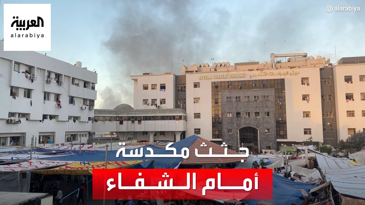 وضع مرعب يفوق الكارثة.. كلاب تنهش جثث تملأ ساحة مستشفى الشفاء في غزة