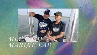 Welcome to the Marine Lab