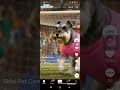 Grisi Pet Care Mobizen