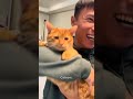 Funny CAT Moments 😂😂 episode 1788 #funnycats #cats #funnyanimals #petsofinstagram