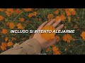 Davichi - Forgetting You ; Moon Lovers : Scarlet Heart Ryeo OST (Sub Español)