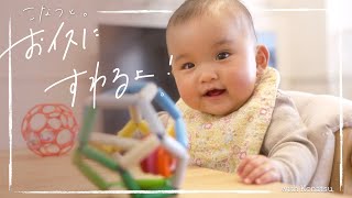 【猫と赤ちゃん】新しいベビーチェアがやってきた