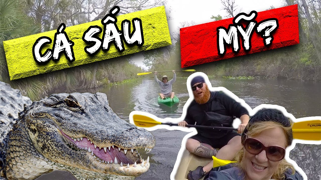 Does Wekiva Springs Have Alligators? Phúc Mập Vlog YouTube
