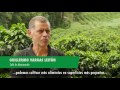 El Estado De Los Bosques Del Mundo 2016 El Estado De Los Bosques Del Mundo 2016