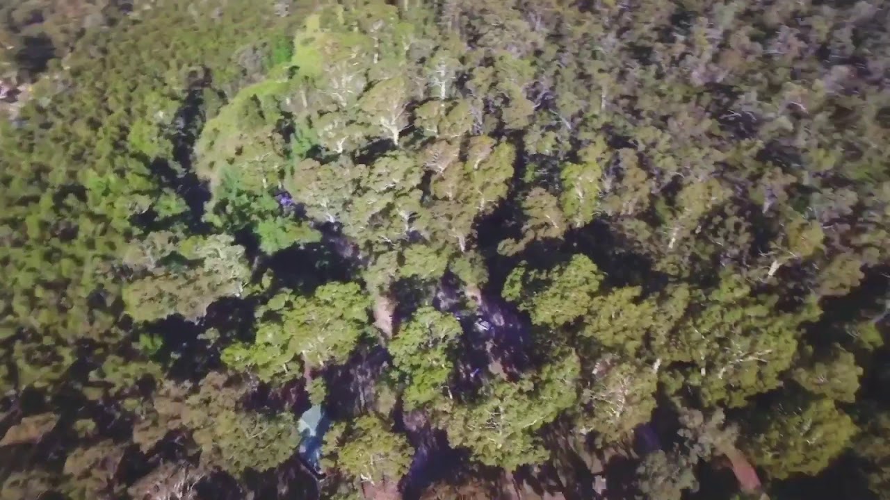 Canberra camping -corin forrest