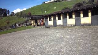 Zar de cantabria capon trochador 2