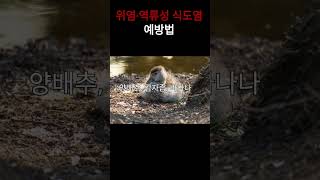 위염·역류성 식도염 예방법 #위염관리 #위산역류 #위건강 #양배추효능 #감자즙효과 #바나나식단 #꿀효능 #매실건강 #스트레스완화 #건강이최고다
