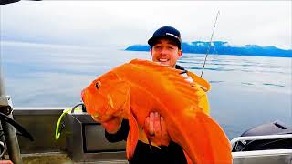 Raspberry Island Lodge- Remote Alaskan Fishing at its Finest