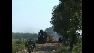 Famous Steam of Jawa(Olean Suger Mill) Indonesia(Juｌ.2007) 1 ジャワ（オレアン製糖工場）の蒸気機関車（200７年７月）1 Net Worth
