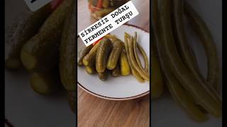 Si̇rkesi̇z Doğal Fermente Turşu Öşesi
