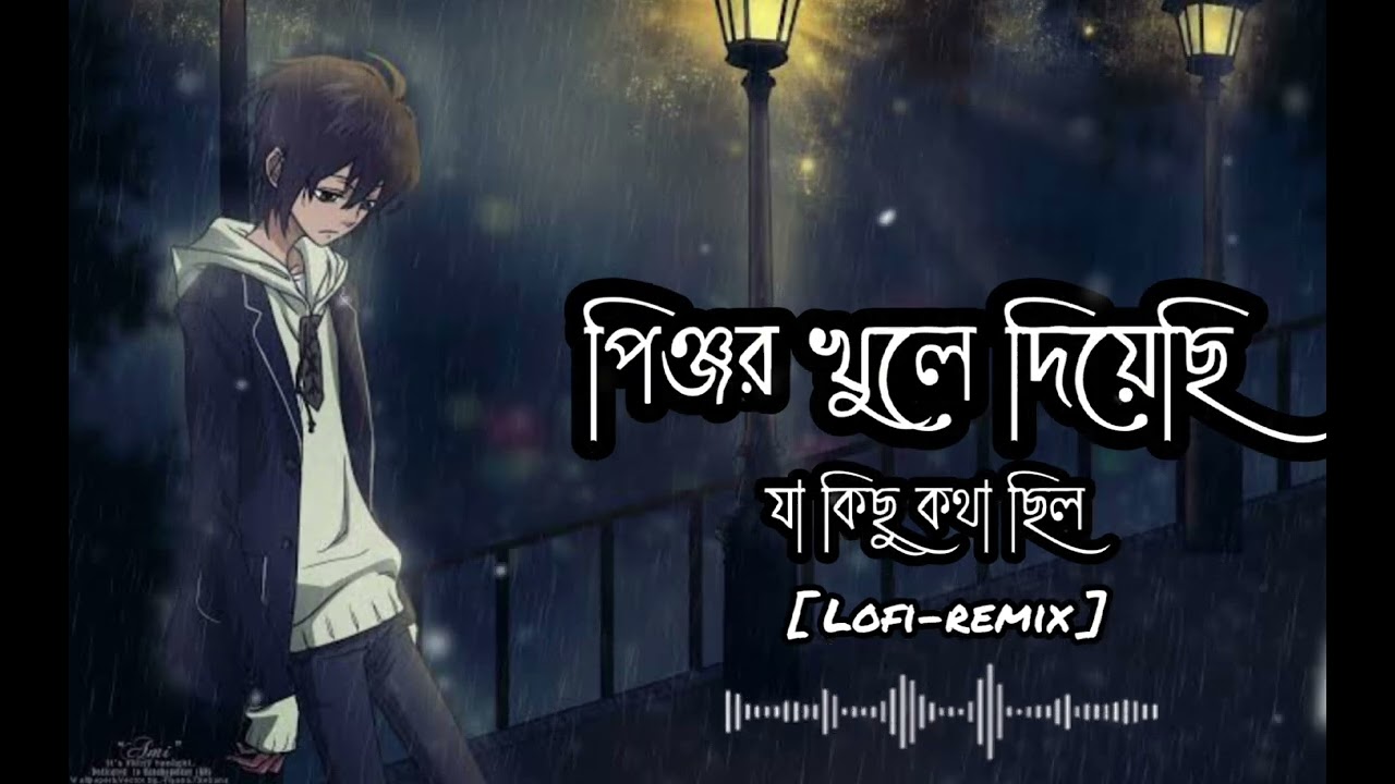 পিঞ্জর খুলে দিয়েছি যা কিছু কথা ছিল । Pinjor khole diyesi  । যারে যাবি যদি যা । Sad song 2025 । Lofi
