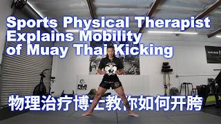 Sports Physical Therapist Explains Mobility of Muay Thai Kicking