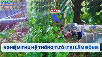 Hệ thống tưới tự động tại Lâm Đồng sử dụng 2 máy bơm , thiết kế dành cho khu có nguồn điện yếu