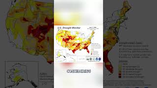 Texas Drought: Cotton Prices vs  Dry Conditions Impact
