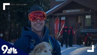 Snowboarder survives after landing head first